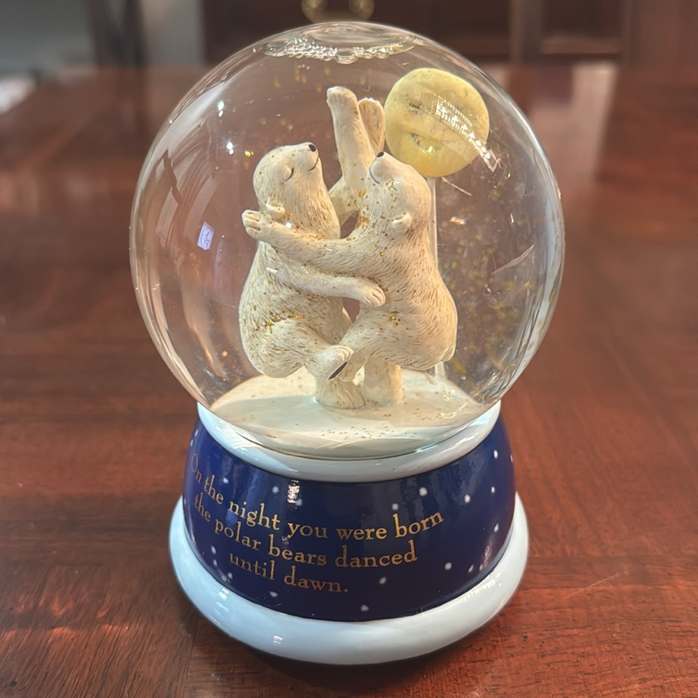 The Polar Bear Dance Nancy Tillman On the night you were born Snow globe